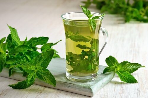 Menthe-500x331