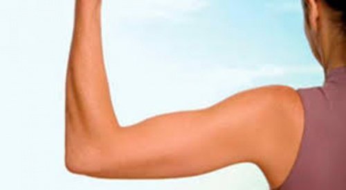 6 exercices efficaces pour fortifier vos bras et éliminer la graisse