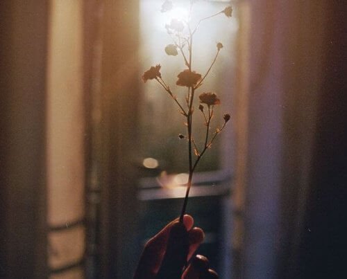 Branche-lumiere-500x403