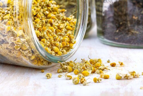 la camomille pour colorer vos cheveux