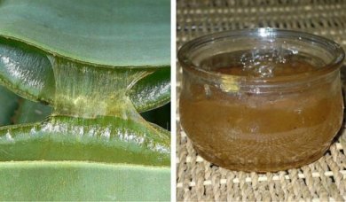Comment préparer une confiture saine à l'aloe vera