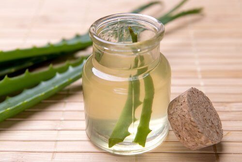 aloe vera