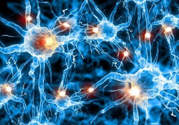 Un groupe de scientifiques affirme avoir stoppé la détérioration cognitive associée à la maladie d'Alzheimer