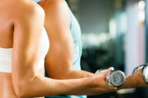 Muscles