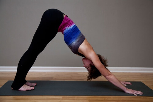 adho-mukha-shvanasana-500x333