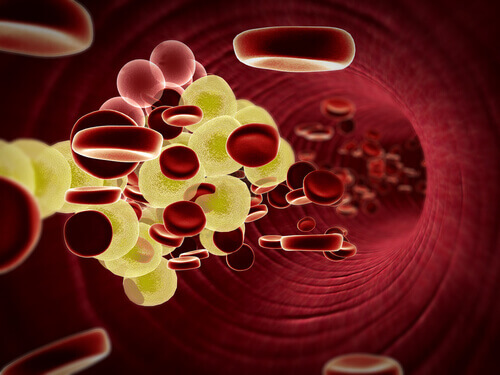 ameliore-la-sante-cardiovasculaire