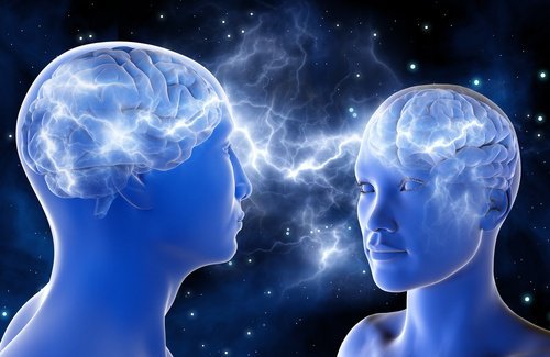 cerveau-500x325