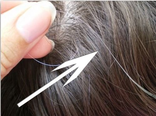 Les cheveux peuvent aussi vieillir prématurément à cause du stress.