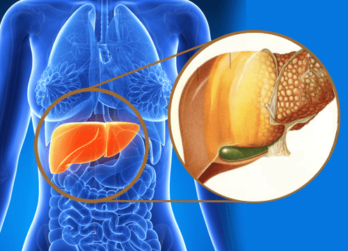 9 signes qui avertissent d'une accumulation de toxines dans le foie