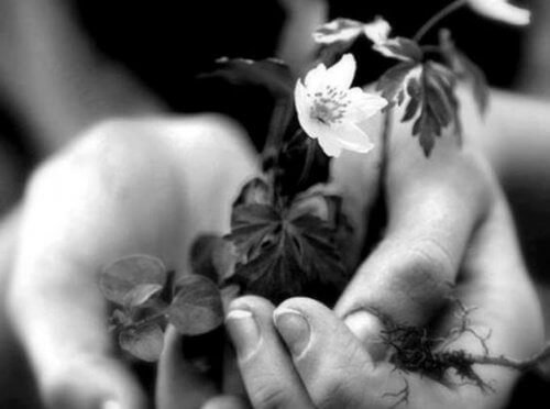 comment pratiquer la bonté