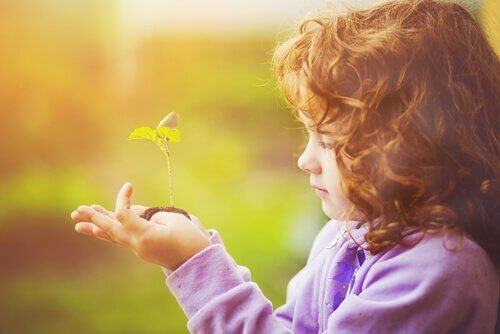 une petite fille regarde une plante pousser 