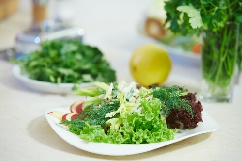 salades-vertes-500x332