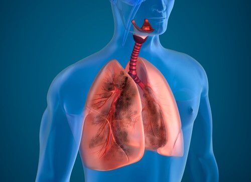 10 ingrédients naturels capables de purifier les poumons des fumeurs