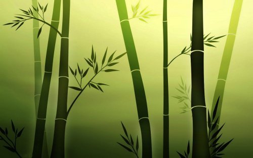 illustration de bambous 