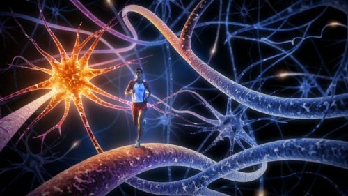 Les 8 meilleurs exercices pour entraîner et augmenter la puissance de votre cerveau Les 8 meilleurs exercices pour entraîner et augmenter la puissance de votre cerveau