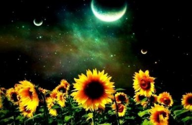 5 manières de connecter son "moi" pour lutter contre le vide émotionnel