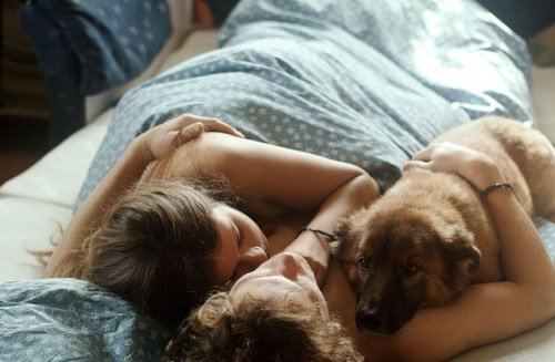 animal de compagnie et relation de couple