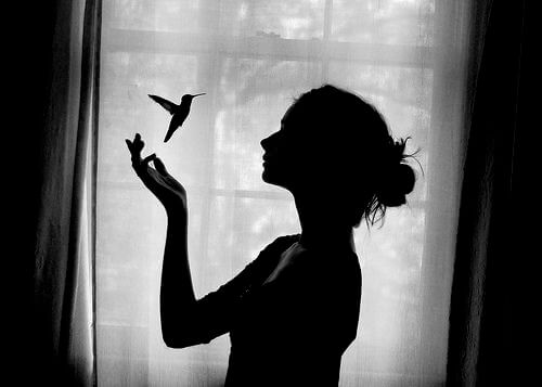 colibri