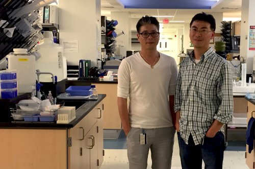 chercheurs de la découverte sur le "point faible" du cancer du poumon