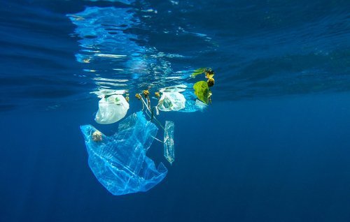 plastique-polluant-500x318