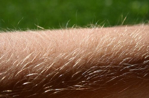 Les poils sur le nez.