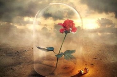 De la souffrance naissent les âmes fortes