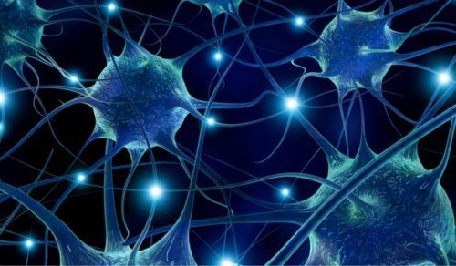 7 aliments qui favorisent la connectivité neuronale