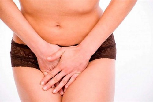 8 aliments que vous devez manger pour prendre soin de votre flore vaginale
