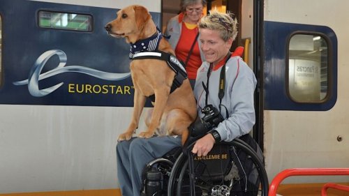 Marieke Vervoort et la question de l'euthanasie