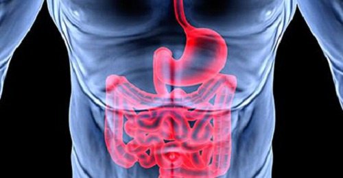 Mauvais fonctionnement du système digestif : 8 signes