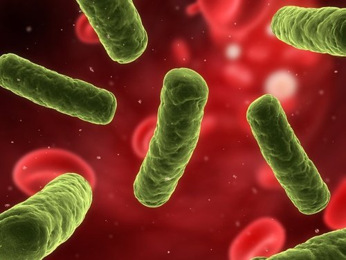 Lutter contre les maladies auto-immunes.