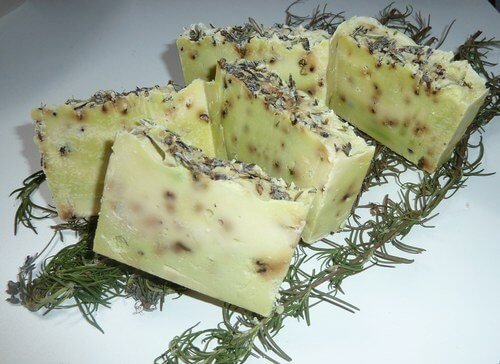 Du romarin dans un savon.