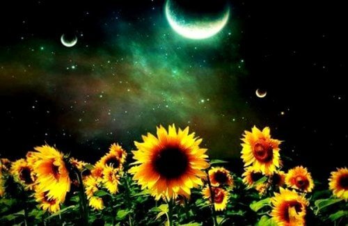 Le plus précieux dans la vie n'est pas ce que nous avons mais qui nous avons