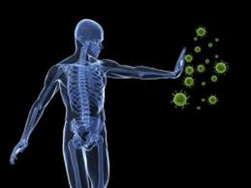 7 conseils pour renforcer le système immunitaire