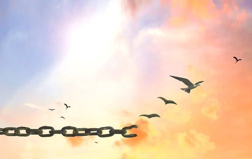 chaine-oiseaux