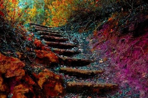L'escalier de la vie : se dépasser chaque jour en 5 étapes