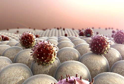 fortifier le système immunitaire