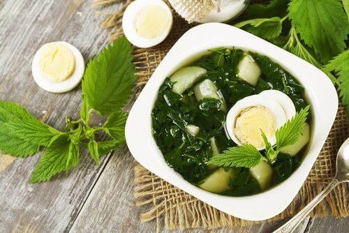 règles abondantes : soupe à l'ortie