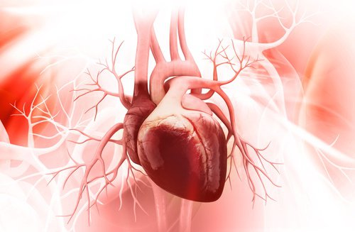 3 façons simples d’obtenir une meilleure santé cardiovasculaire