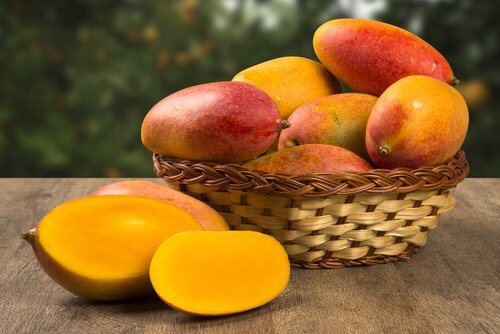 La mangue pour les défenses.