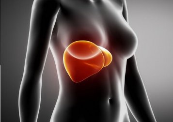 7 merveilleuses clés pour prendre soin du foie au petit-déjeuner