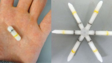 Incroyable ! Une capsule qui permet de traiter plusieurs maladies pendant des mois en une seule prise