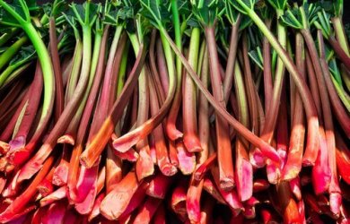 Comment améliorer la santé de la thyroïde naturellement avec la rhubarbe