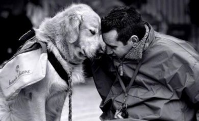 Un chien peut vous aider à combattre votre nostalgie