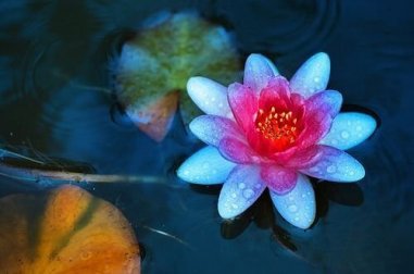 5 types d'autorisation à vous donner quand on vous traite mal