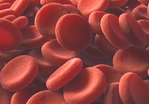 Remèdes naturels pour augmenter les globules rouges