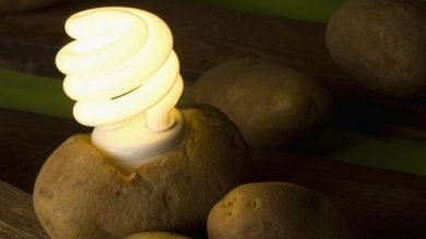 Illuminer votre chambre avec une pomme de terre