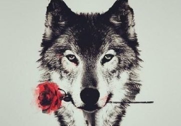 5 prédateurs qui sont autour de vous et que vous devez connaître