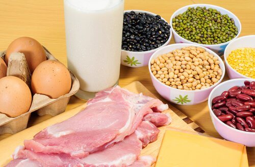 régime avec moins de protéines animales 