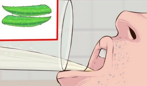 Comment utiliser l'aloe vera contre le diabète ?